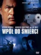 Recenzje najlepszych polskich i zagranicznych filmw.